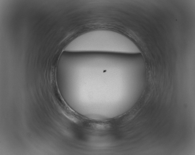 X0000081450165200701121024