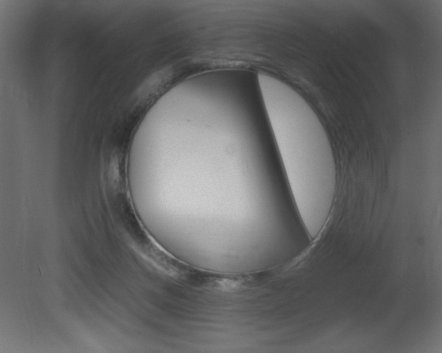 X0000081450166200701121024