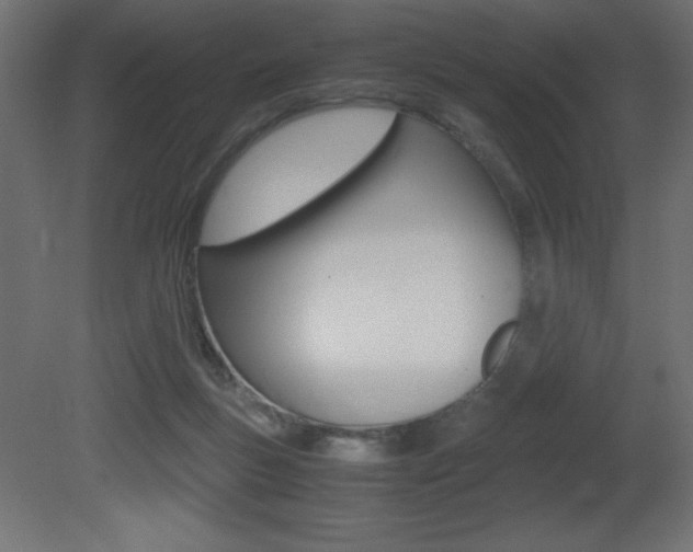 X0000081450167200701121024