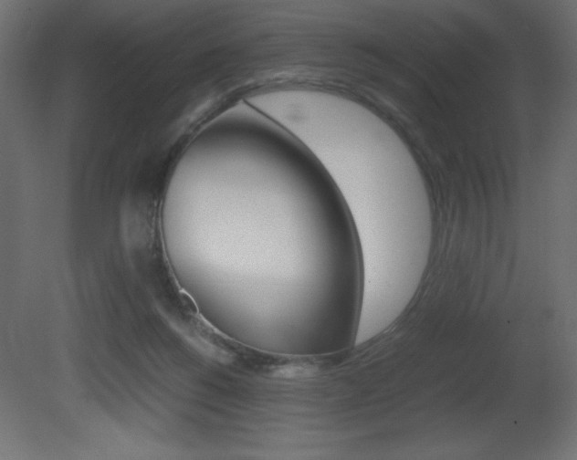 X0000081450168200701121024