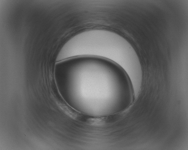 X0000081450170200701121024