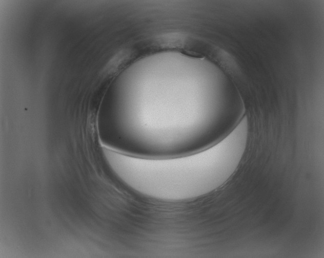 X0000081450172200701121024