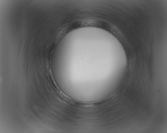 X0000081450173200701121024