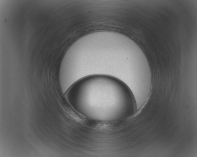 X0000081450174200701121024