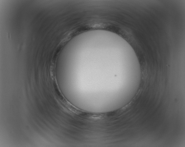 X0000081450175200701121024