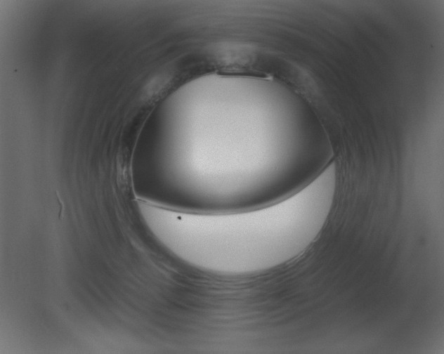 X0000081450176200701121024
