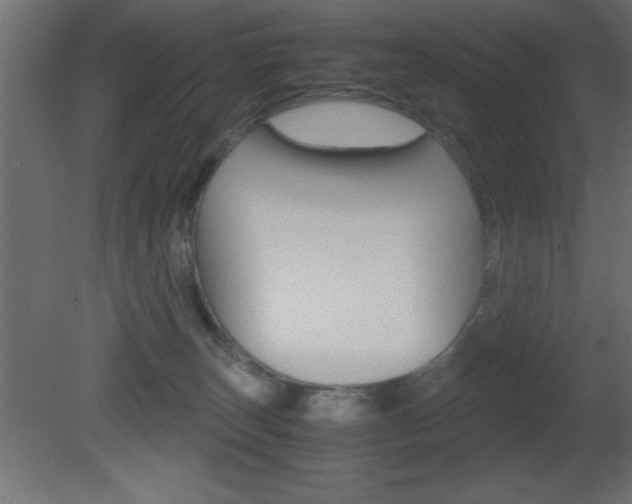 X0000081450179200701121024