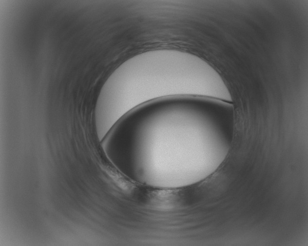 X0000081450184200701121024