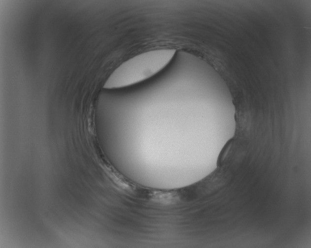 X0000081450185200701121024