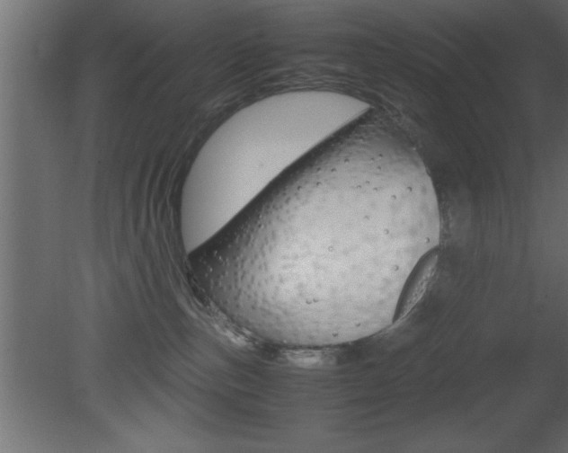 X0000081450187200701121024