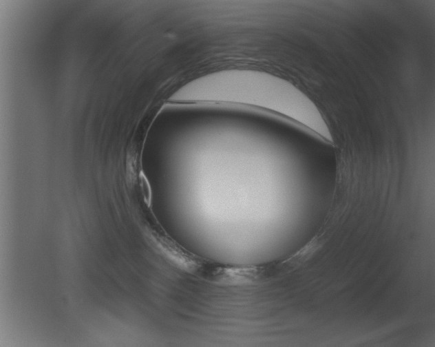 X0000081450188200701121024