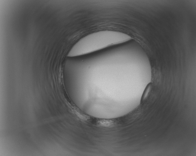 X0000081450189200701121024