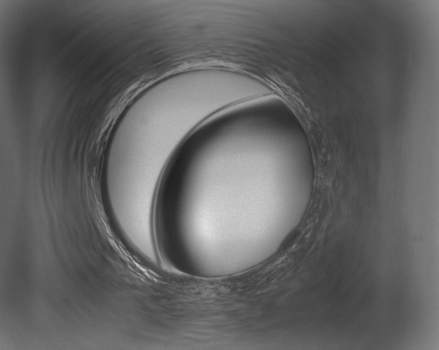 X0000081450193200701121024
