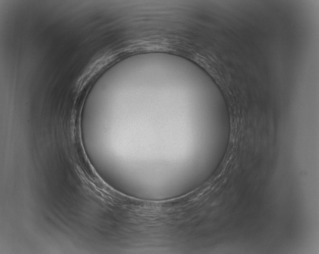 X0000081450194200701121024