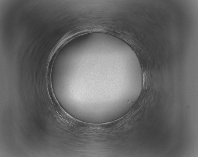 X0000081450195200701121024