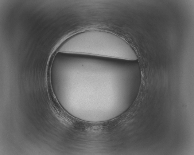 X0000081450196200701121024