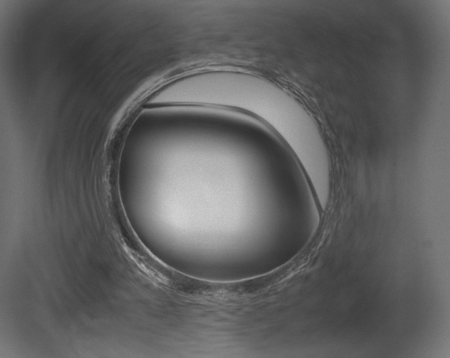 X0000081450197200701121024