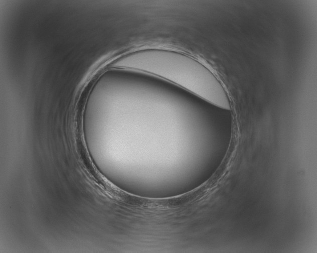 X0000081450199200701121024