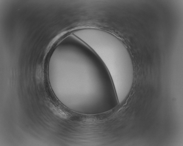 X0000081450200200701121024