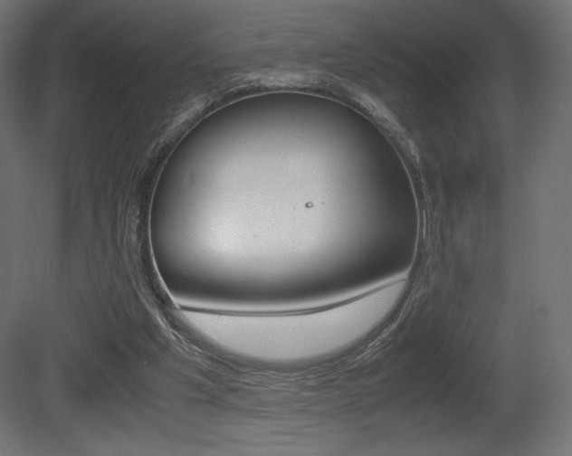 X0000081450201200701121023