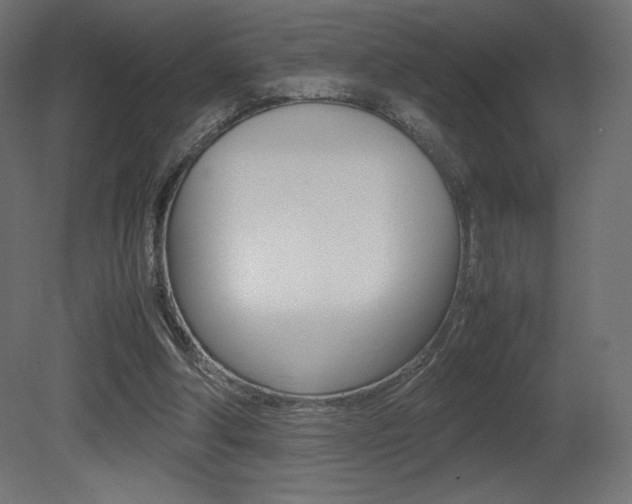 X0000081450202200701121023
