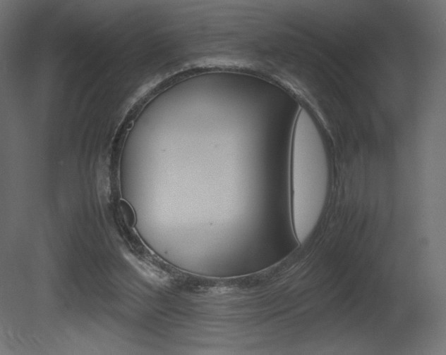 X0000081450204200701121023
