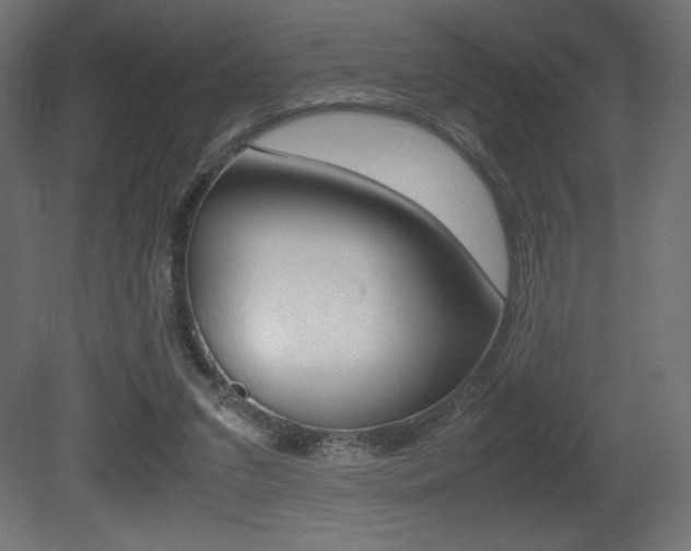 X0000081450207200701121023