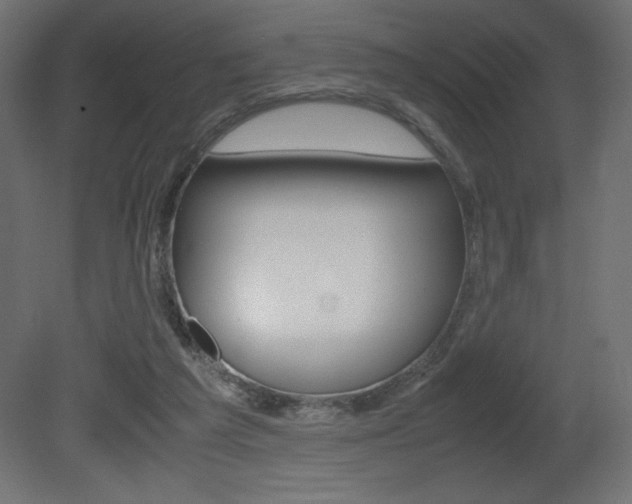 X0000081450209200701121023