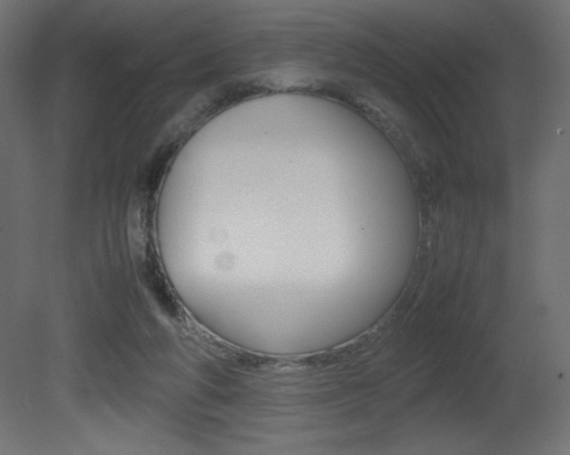 X0000081450210200701121023