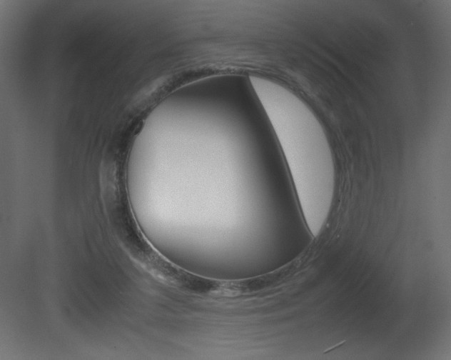 X0000081450211200701121023