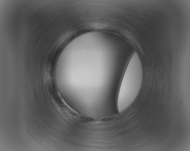 X0000081450212200701121023