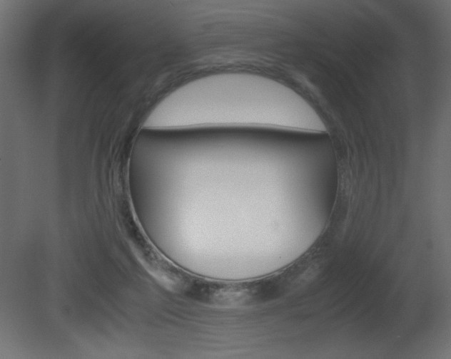 X0000081450213200701121023
