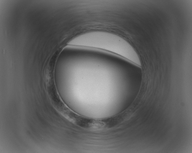 X0000081450215200701121023