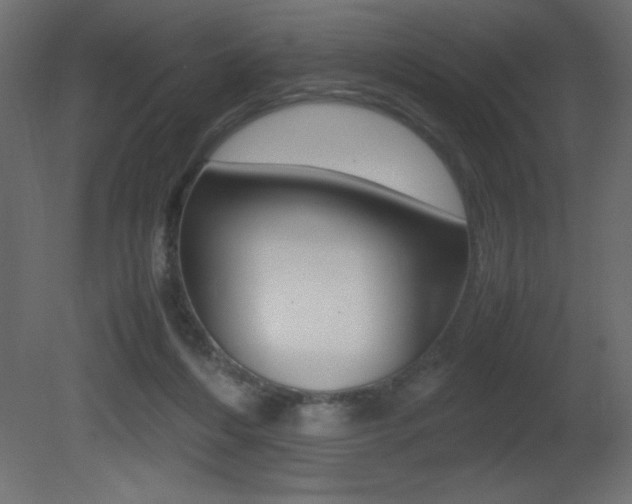 X0000081450216200701121023
