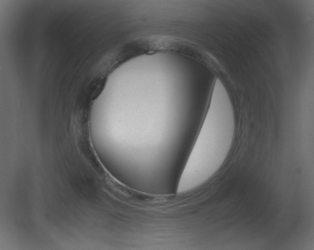 X0000081450217200701121023