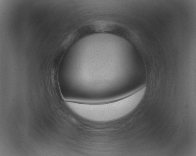 X0000081450219200701121023