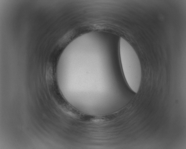 X0000081450220200701121023