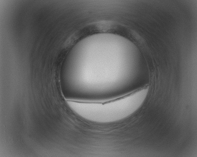 X0000081450221200701121023