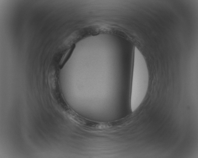 X0000081450223200701121023