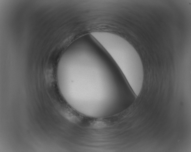 X0000081450224200701121023