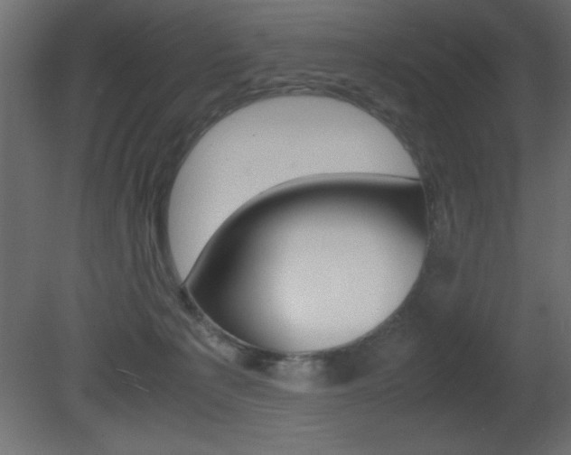 X0000081450225200701121023