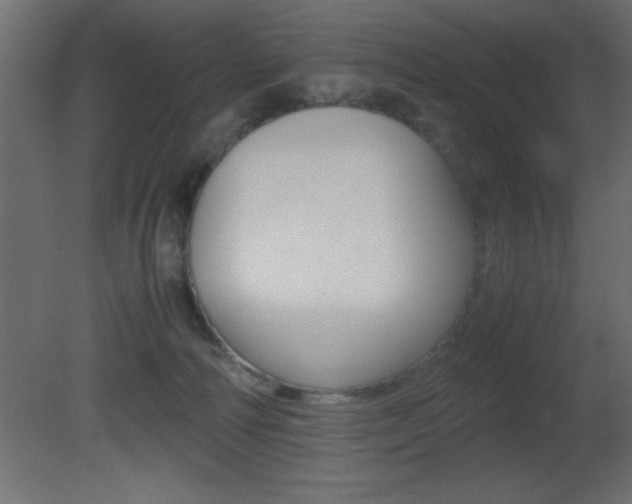 X0000081450226200701121023