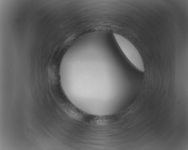 X0000081450228200701121023