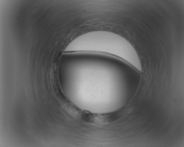 X0000081450229200701121023