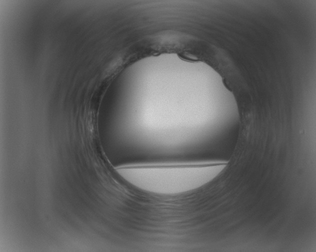X0000081450232200701121023