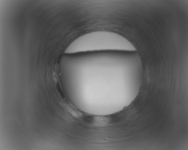 X0000081450234200701121023