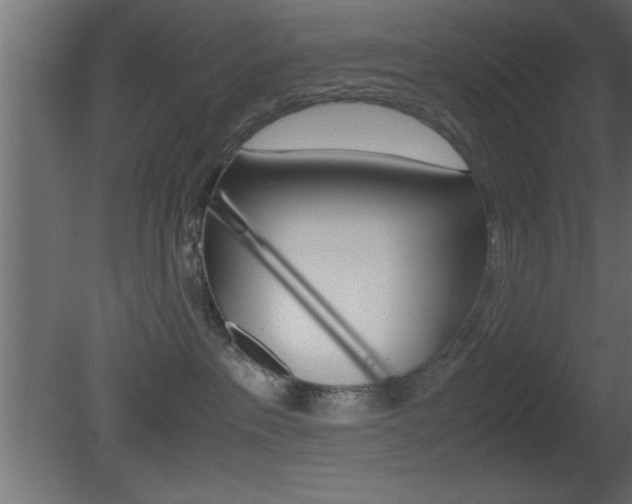 X0000081450237200701121023