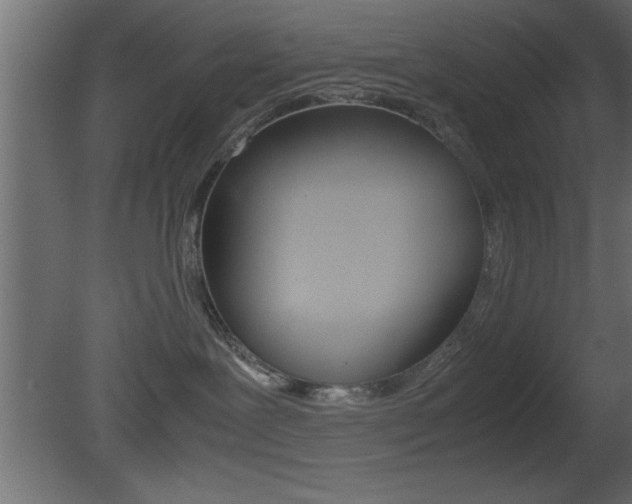 X0000081450239200701121023
