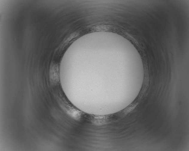 X0000081450240200701121023