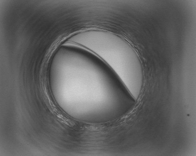 X0000081450241200701121022